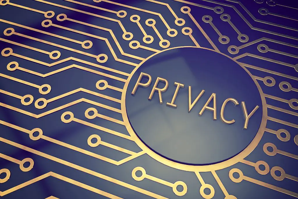 Digital Privacy Challenges in an AI-Powered Internet